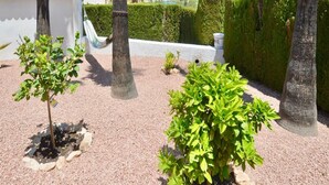 A rooftop garden with various plants, a white wall, and a view of the cityscape.