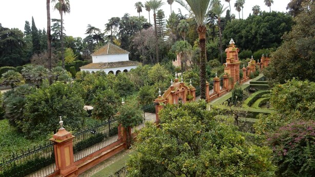 Un jardin luxuriant avec un bâtiment central de couleur blanche, entouré de palmiers et d’une grande variété de plantes.