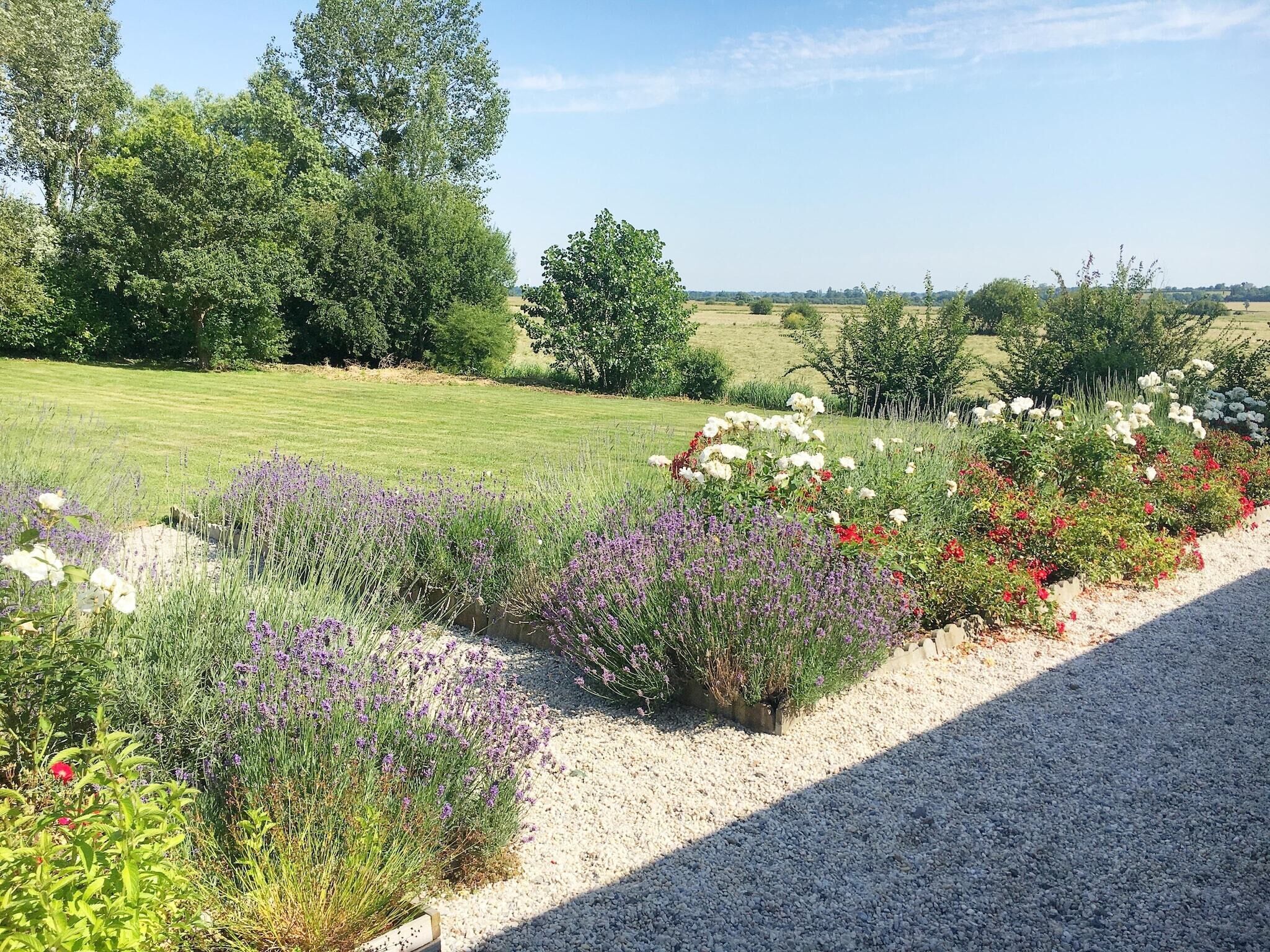 A garden with a gravel path, various flowering plants, and a grassy field in the background.