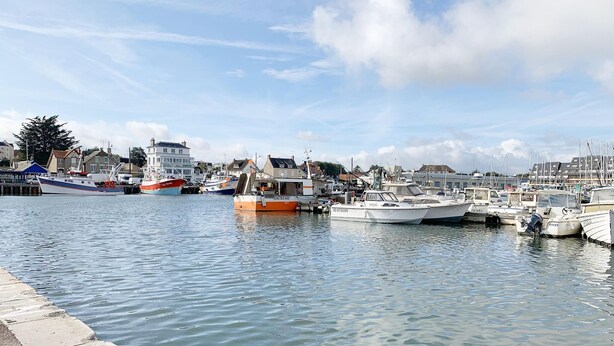 Uma marina com vários barcos atracados, céu claro e edifícios ao fundo.