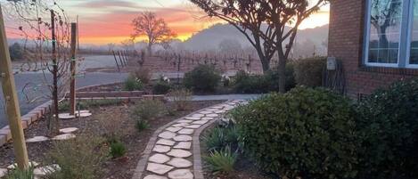 المنطقة المحيطة بالمنشأة