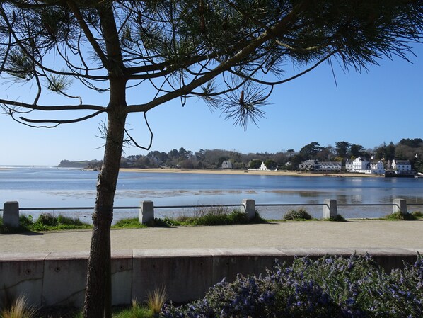 Une vue sur la côte, avec une promenade en béton, un arbre et une plage de sable en arrière-plan.