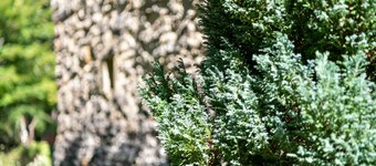 Feriehus i Villefranche med skovudsigt