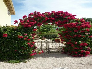 Property grounds - Cycling Escape in Montbrun (Montbrun-Les-Bains)