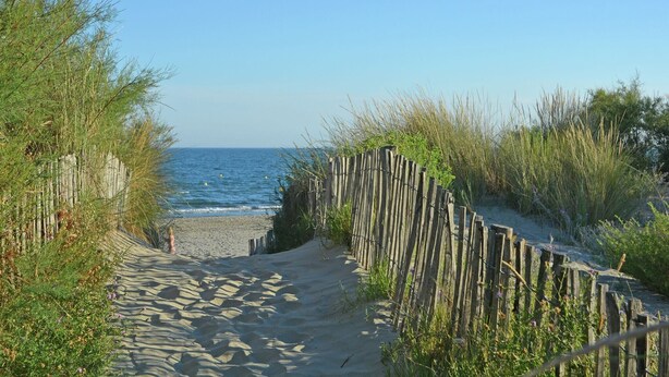 Un sentier de sable qui longe la plage et mène à la mer, bordé de hautes herbes et d’une clôture en bois.