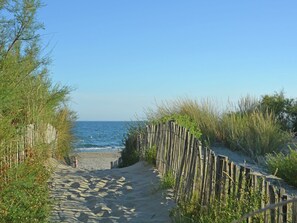 Ein sandiger Strandweg führt zum Meer, umrahmt von hohem Gras und einem Holzzaun.