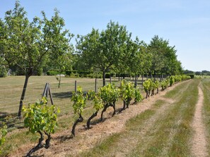 Overnatningsstedets område