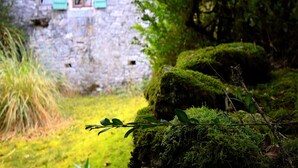 Un edificio de piedra con ventana y contraventanas, rodeado de abundante vegetación y rocas cubiertas de musgo.