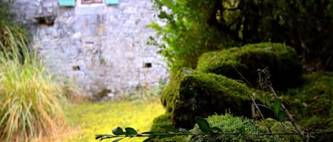 Un edificio de piedra con ventana y contraventanas, rodeado de abundante vegetación y rocas cubiertas de musgo.