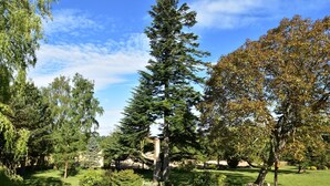 A well-maintained garden with a variety of trees, a lawn, and a small seating area with a table and chairs. - Saint-Sauveur Hideaway (St Sauveur Lendelin)