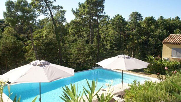 A swimming pool with two white umbrellas, surrounded by lush greenery and tall pine trees.