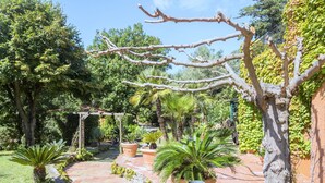 A garden with a brick pathway, potted plants, and a pergola. - Mansion in Fréjus with Private Pool (Fréjus)