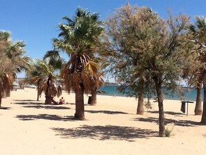 A sandy beach with palm trees and a clear blue sky.
