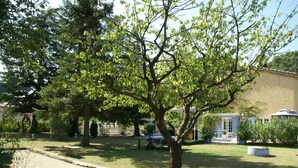 A courtyard with a tree, a bench, and a building in the background. - Holiday Home in Piolenc near Roman Orange (Piolenc)