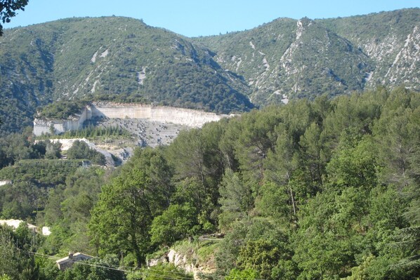 Paisagem montanhosa com floresta densa e penhascos rochosos.