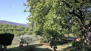 Un jardin luxuriant avec un grand arbre, une construction en pierre et une vue sur des collines lointaines.