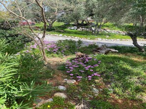 Property grounds - Villa in Sisi near Beach & Olive Groves (Milatos)