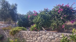 A stone wall with a garden featuring various plants and flowers.