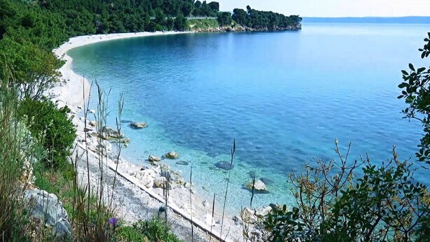 Eine Küstenlandschaft mit blauem Meer, Sandstrand und dichter Vegetation.