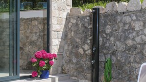 Eine Steinsäule mit einem Metallgitter, ein Blumentopf mit rosafarbenen Blüten und eine grüne Pflanze an der Wand.