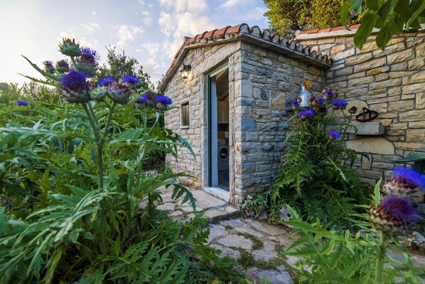 A stone building with a door, surrounded by greenery and purple flowers.
