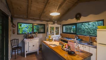 Fridge, stovetop, dishwasher, coffee/tea maker