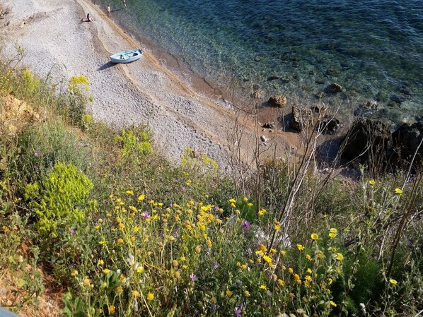 Una spiaggia nelle vicinanze