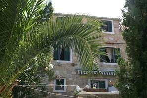 Exterior - Traditional house with two apartments (Vis)