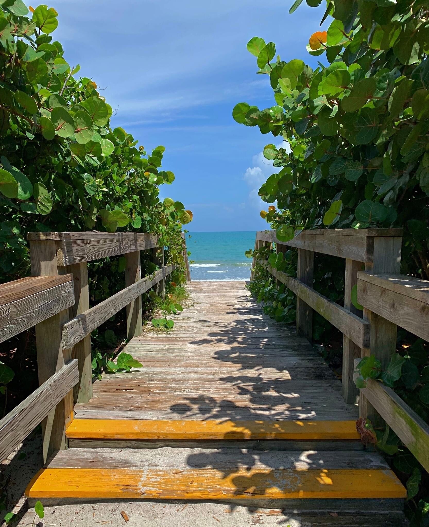 Beach Front Condo