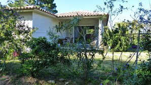 A house with a tiled roof, a covered porch, and a garden with various plants and flowers. - Mini villa in the heart of a pretty garden (Porto-Vecchio)
