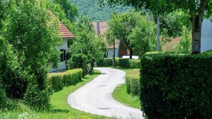 Una carretera estrecha y serpenteante bordeada de abundante vegetación y casas tradicionales con techos de tejas rojas.