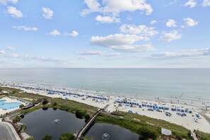 On the beach, sun-loungers - Direct oceanfront studio, steps to Myrtle Beach, pool, hot tub, restaurant & bar (Myrtle Beach)