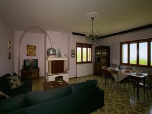 Televisión y chimenea 
