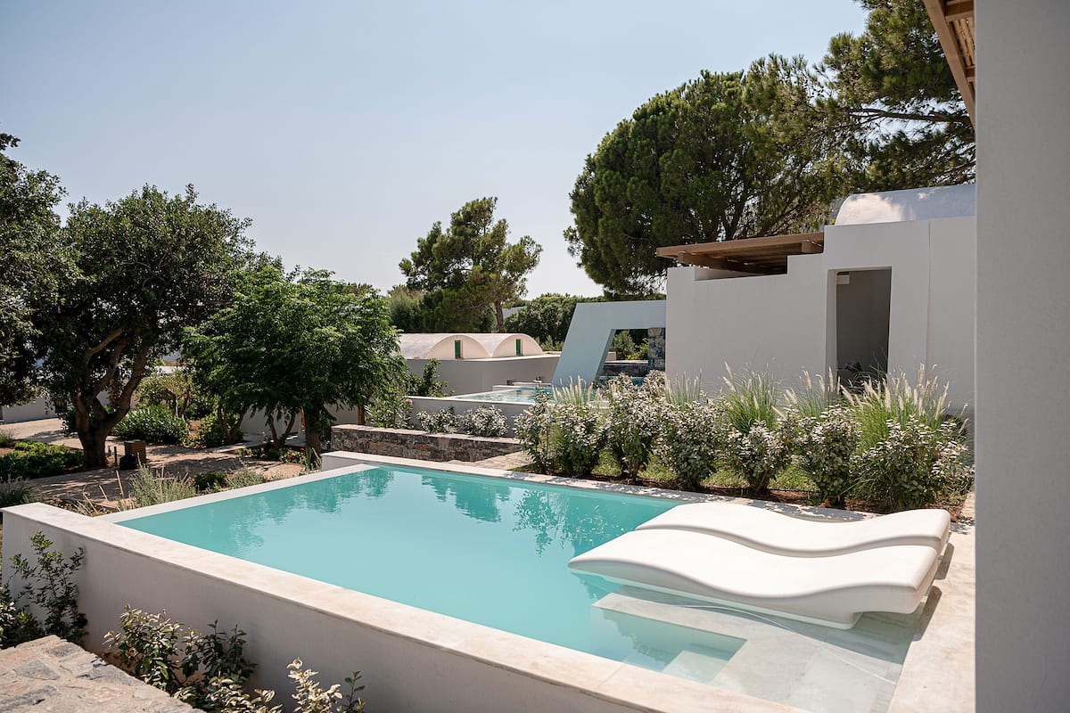 A rectangular swimming pool with a wavy edge, surrounded by a low stone wall and lush greenery.