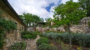Ein gepflasterter Weg schlängelt sich durch einen Garten mit verschiedenen Pflanzen und Blumen.