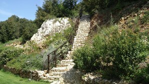 Una escalera de piedra que asciende por una ladera rocosa, rodeada de follaje y árboles.