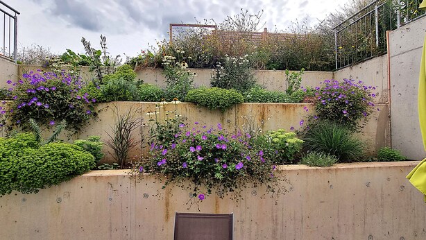 Un jardin aménagé en terrasses, avec différentes plantes et fleurs, un mur en béton et un parasol vert.