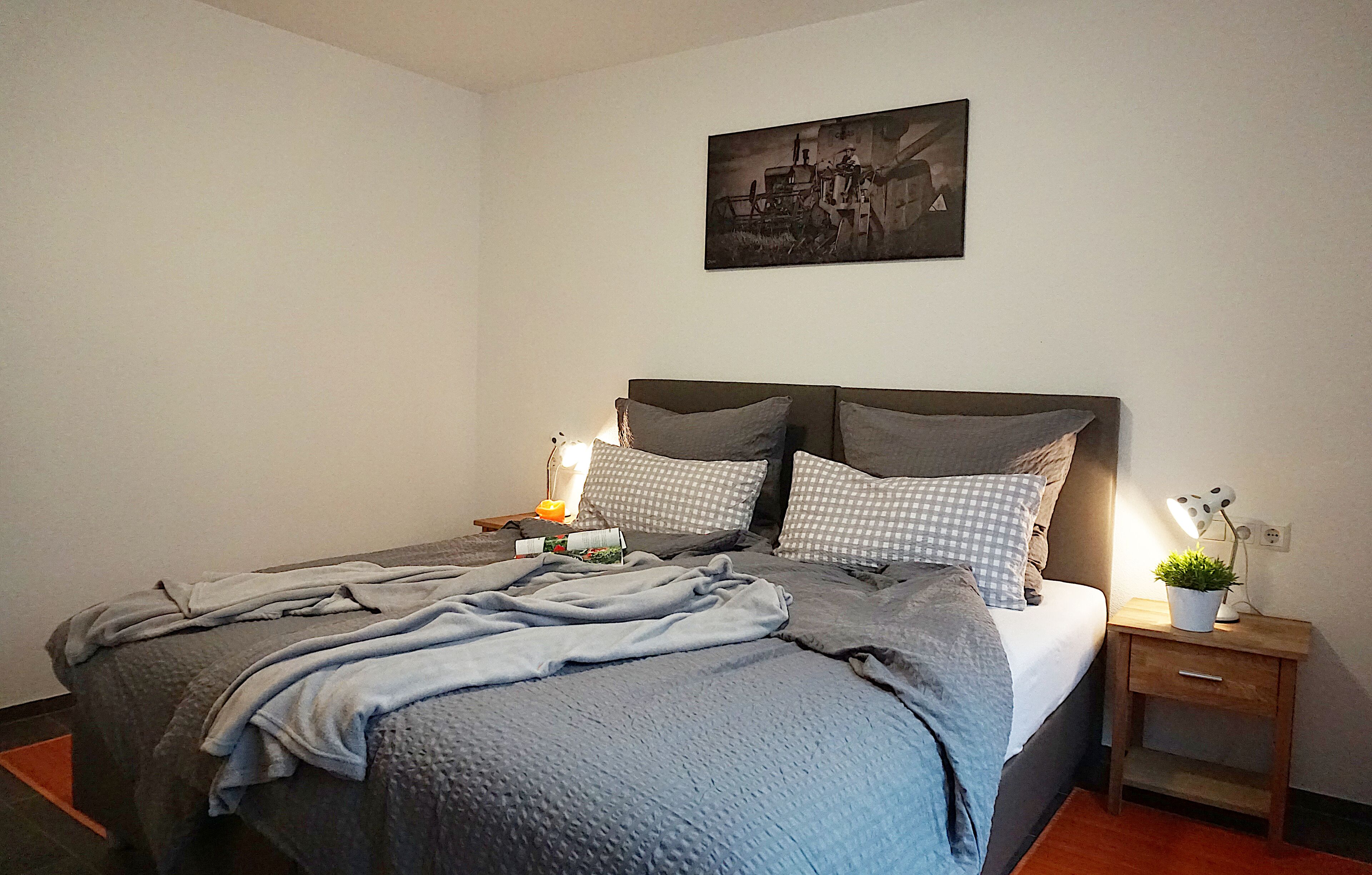 A bedroom with a bed, two bedside tables, a nightstand, a wall-mounted picture, and a small potted plant.