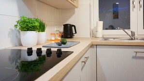 Une cuisine moderne dotée d’une plaque de cuisson à induction noire, de meubles en bois et d’une fenêtre offrant une belle vue.