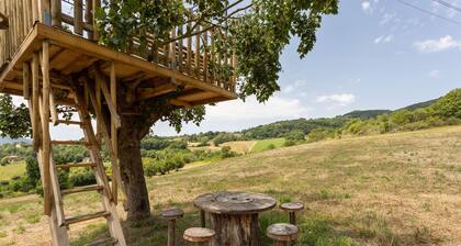 Holiday Home in Assisi with Pool & Nature