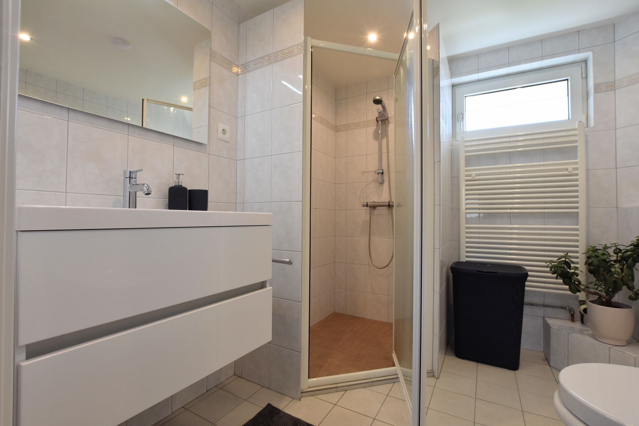 A modern bathroom with a glass-enclosed shower, a white vanity, and a potted plant.