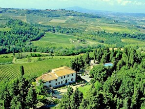 A large estate with expansive vineyards and a central building surrounded by trees.