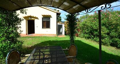 Wine Tastings, Hills and Tuscan home