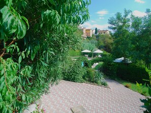 المنطقة المحيطة بالمنشأة