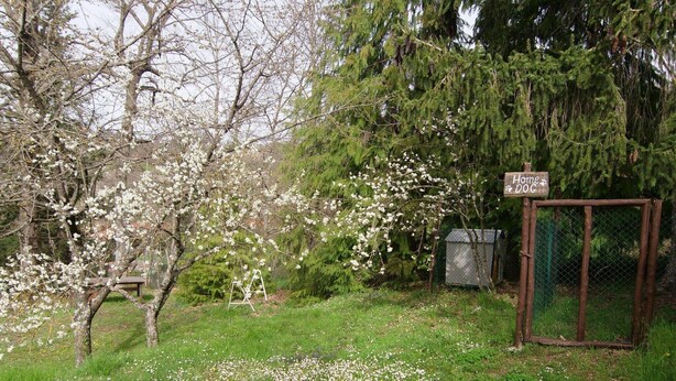 Un jardín con árboles en flor, un banco de madera y una puerta metálica con la leyenda 'Home Dog'.