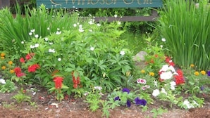 Exterior - Windsor Hill F60, Waterville Valley (Waterville Valley)