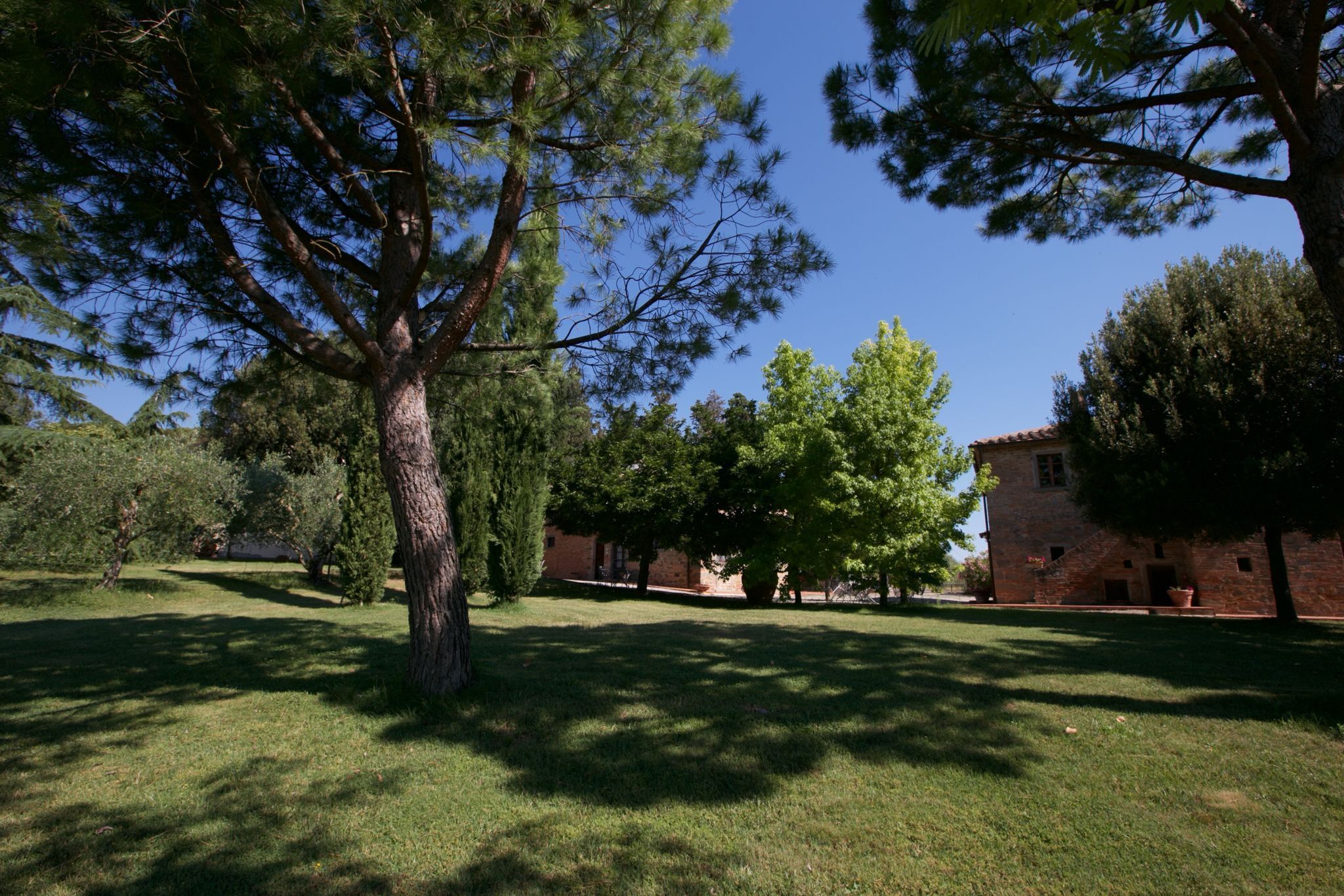 Parco della struttura