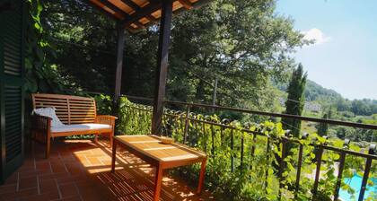 Villa Santa Fiora Farmhouse