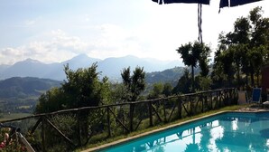 A pool with a mountain view, surrounded by greenery and a wooden fence.