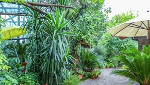 Un sendero en un jardín con plantas en macetas y un paraguas amarillo.